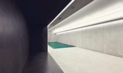 Duisac turpiteger rutr