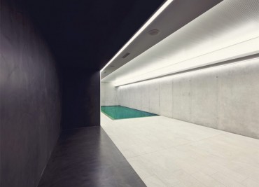 Duisac turpiteger rutr