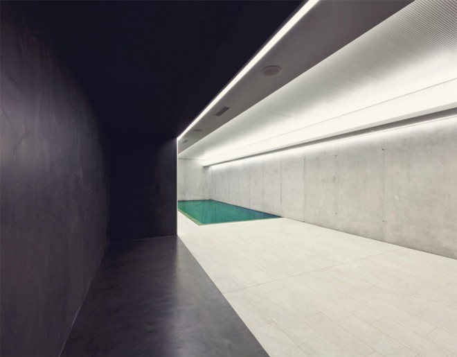 Duisac turpiteger rutr