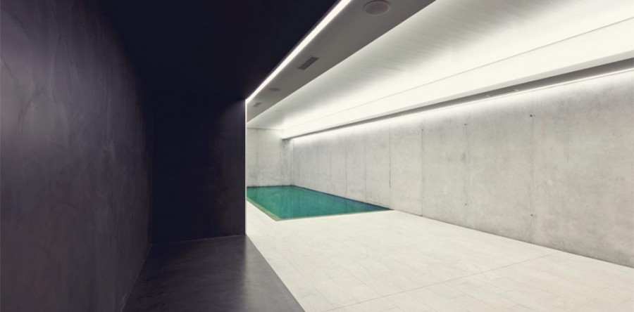 Duisac turpiteger rutr